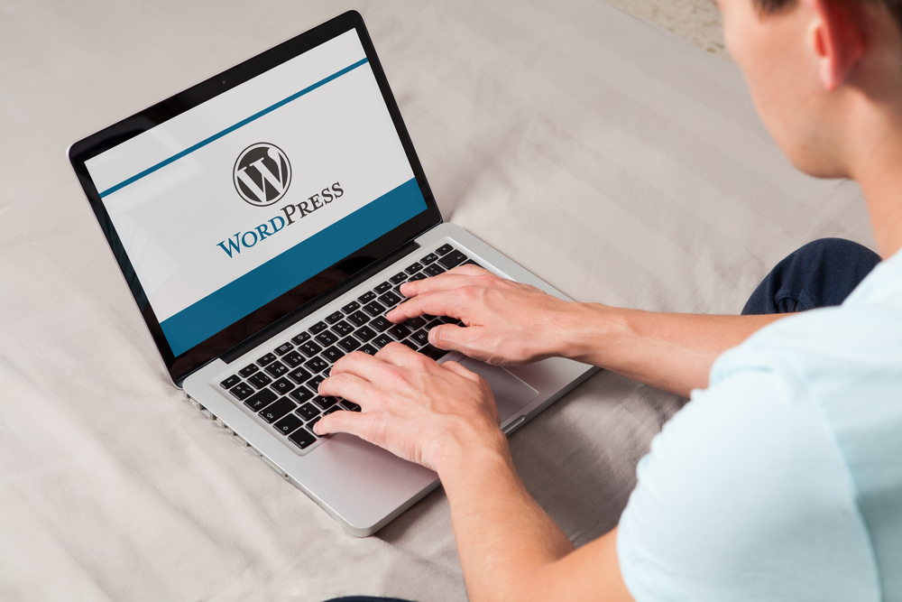 WordPress.com and .org