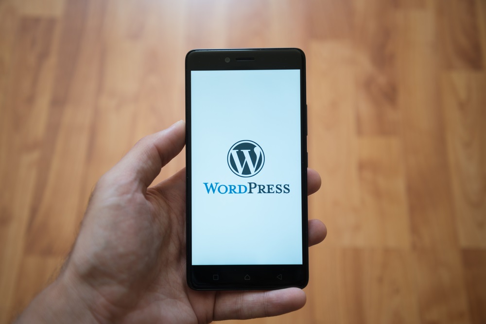 WordPress.com vs WordPress.org